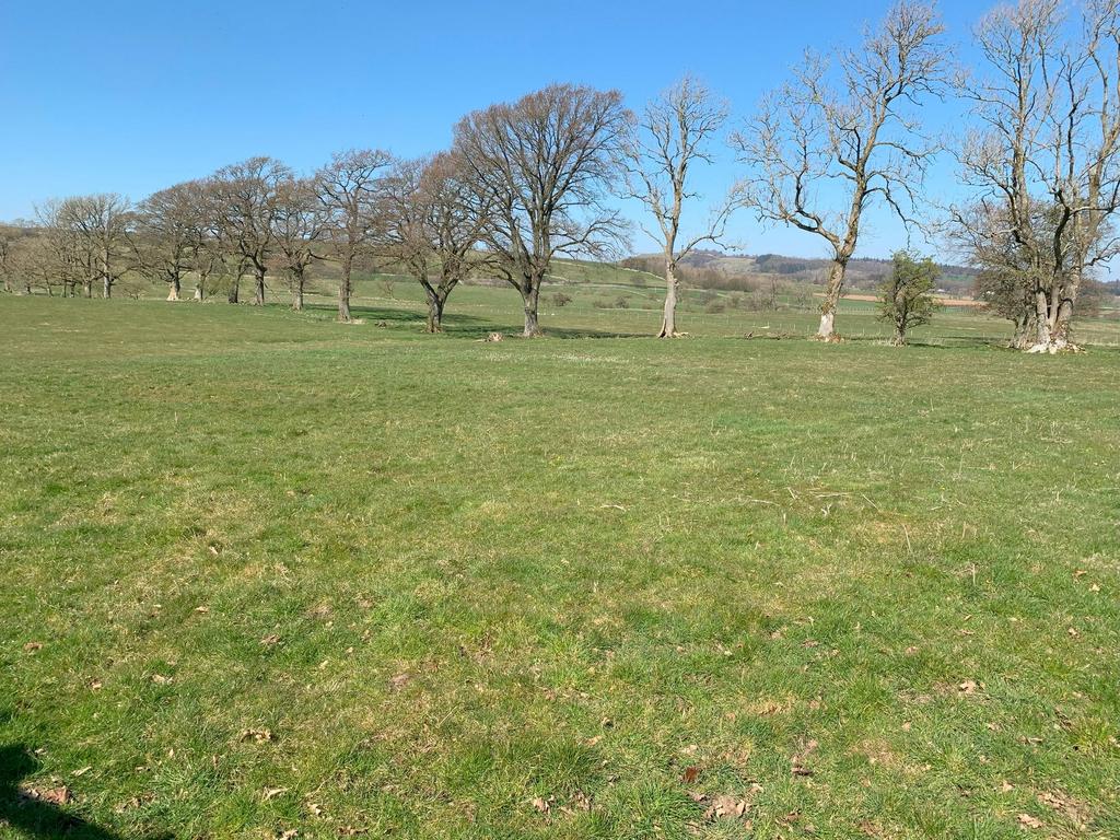 Lot 2