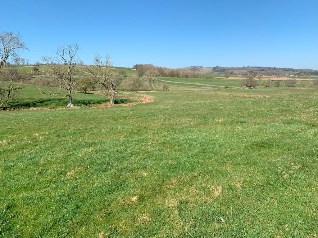 Lot 3