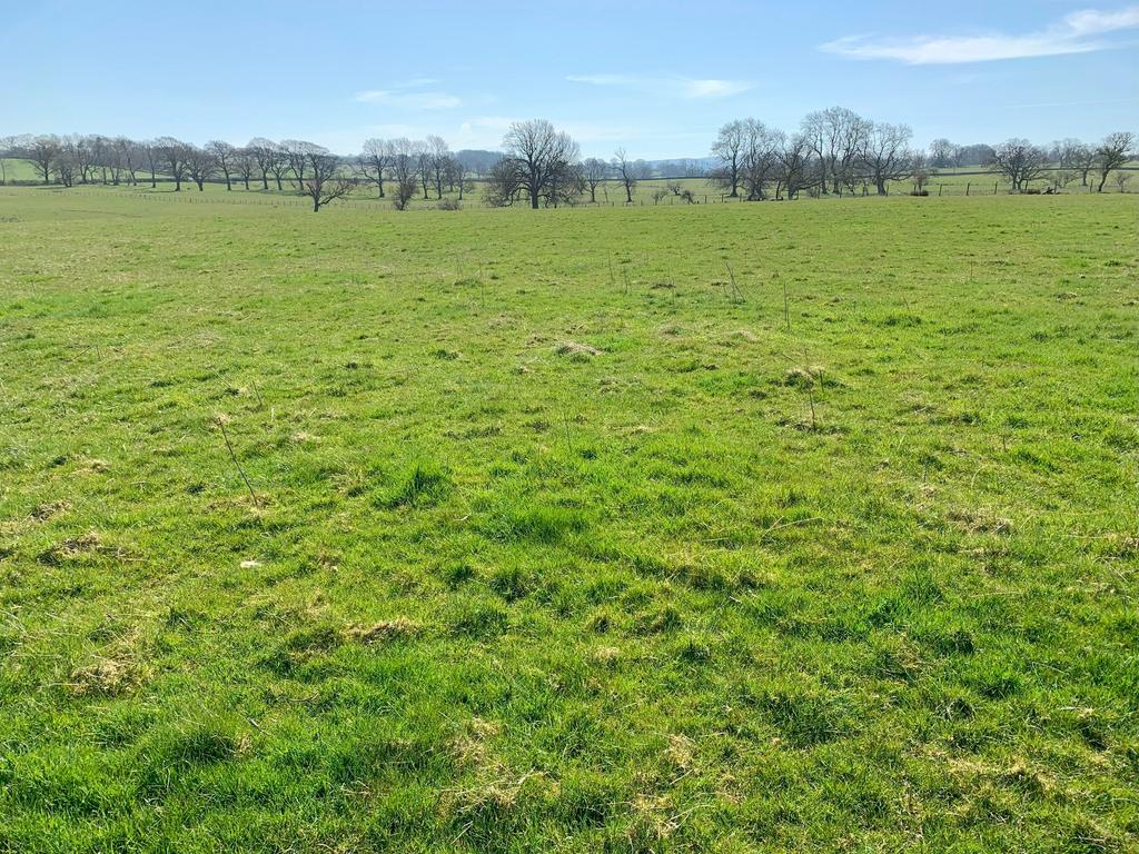 Lot 3