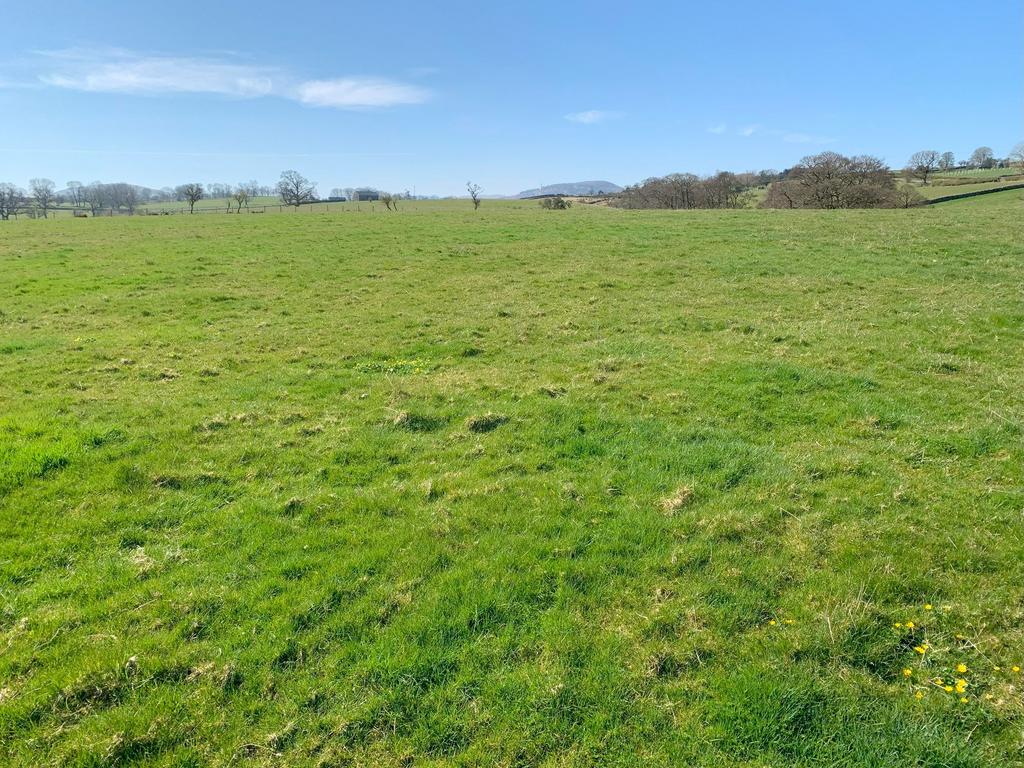 Lot 3