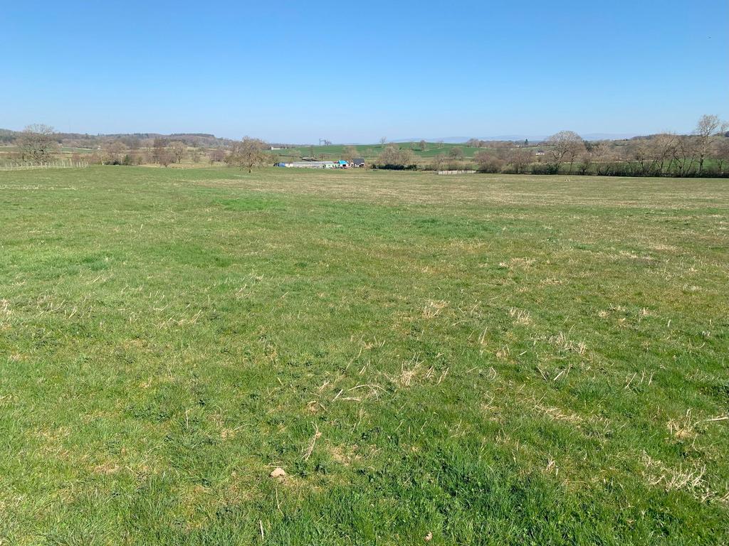 Lot 4
