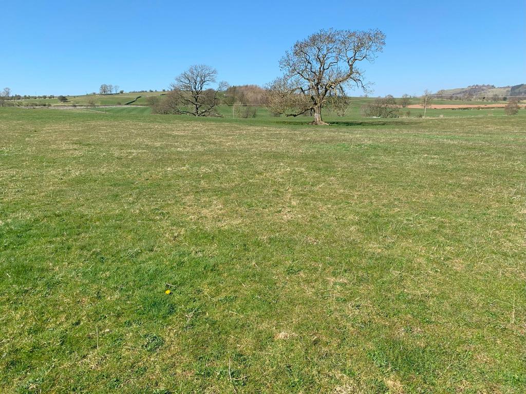 Lot 4