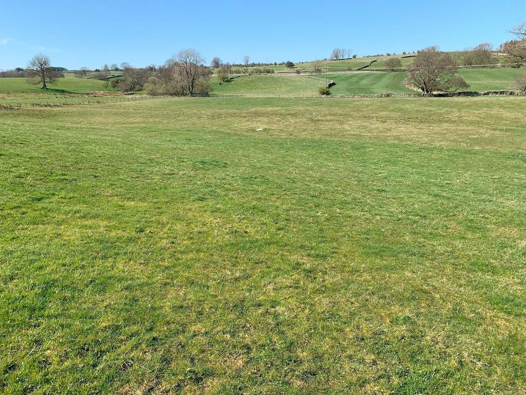 Lot 4