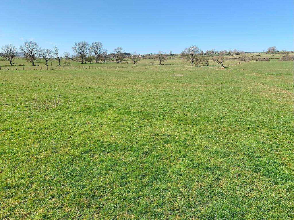 Lot 3