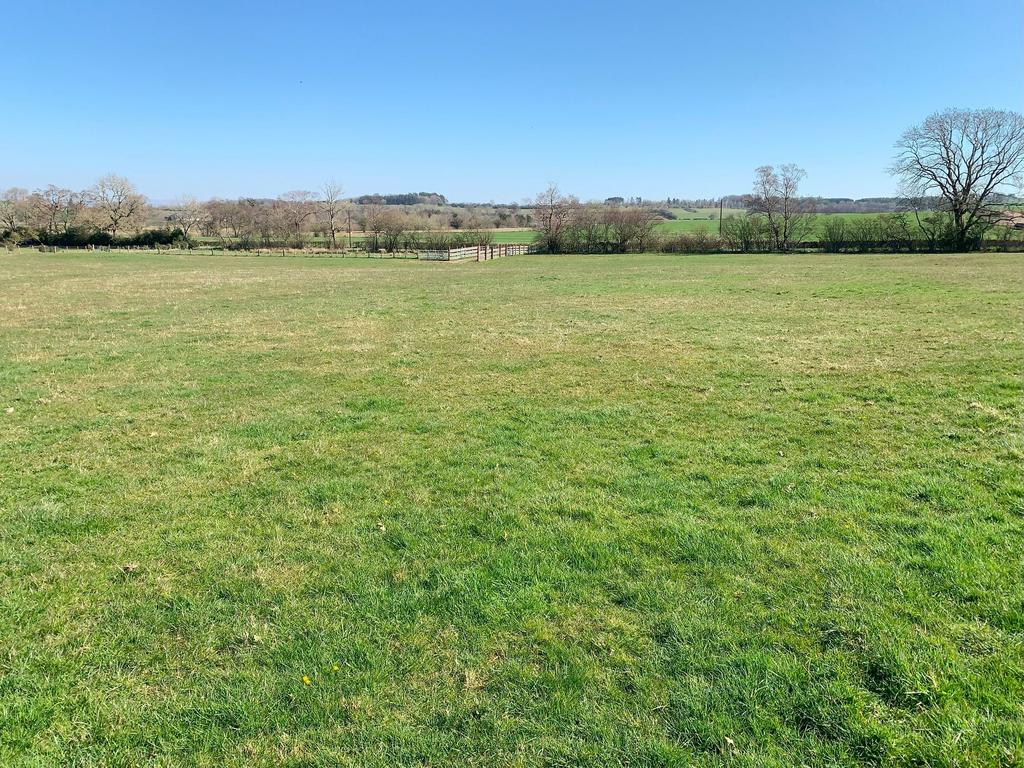 Lot 4