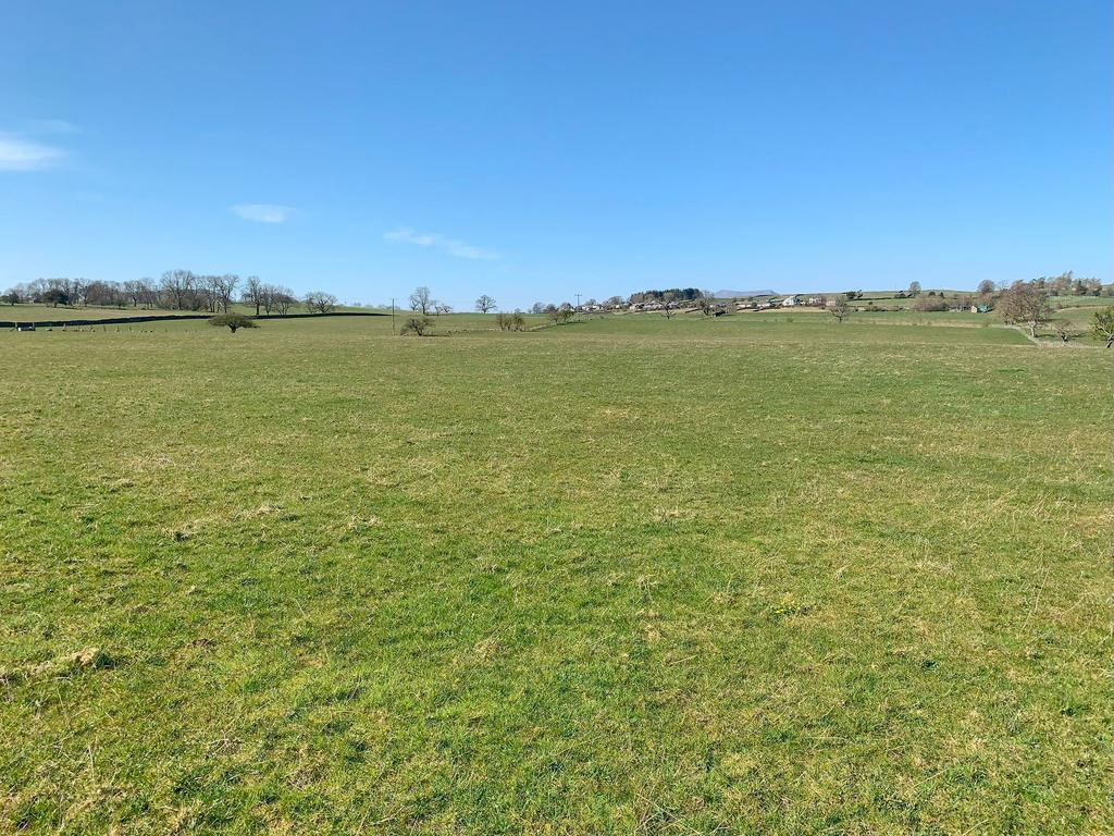 Lot 1