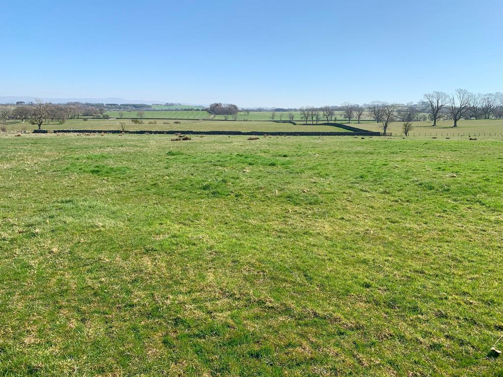 Lot 1