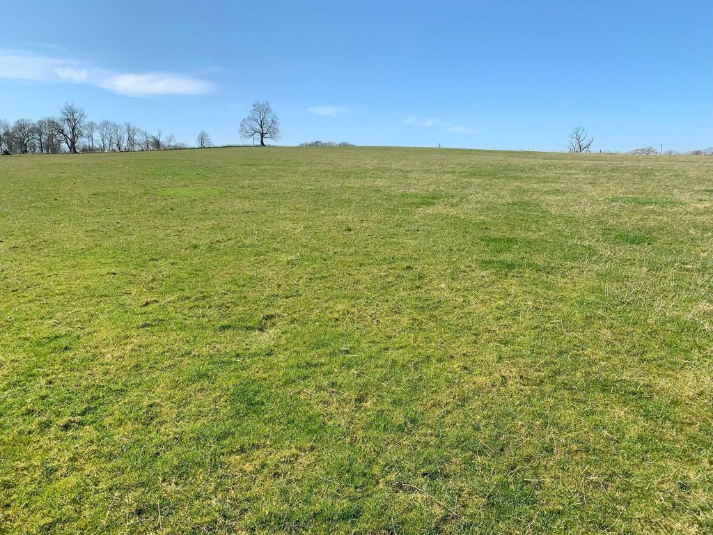 Lot 1