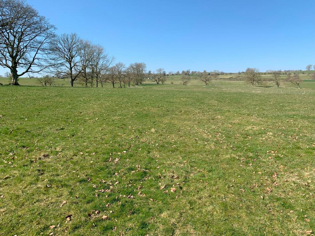 Lot 2