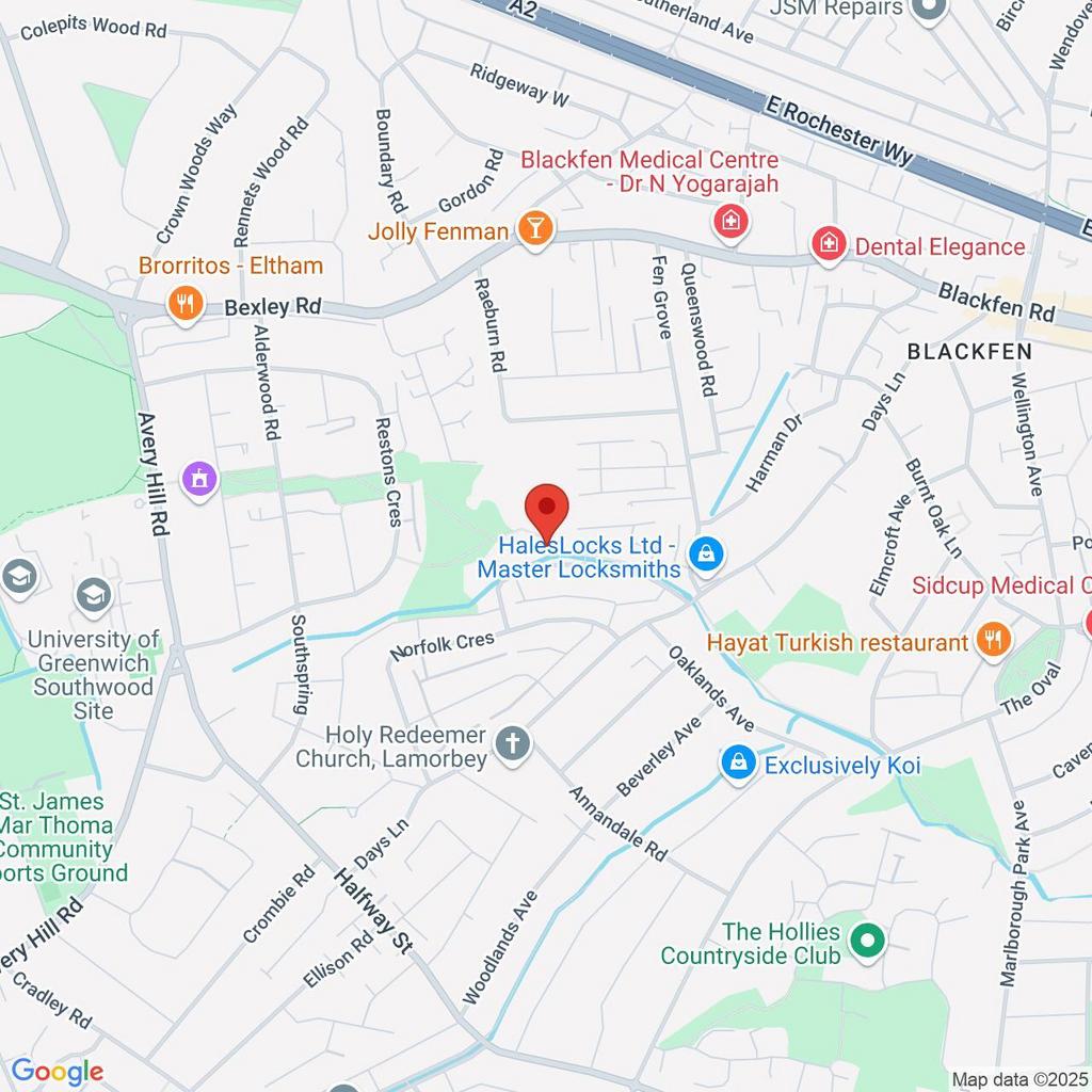 Google Maps Image