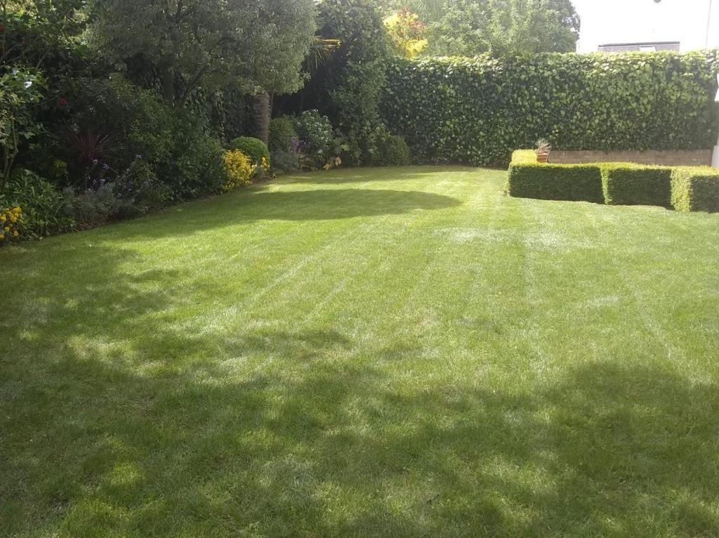 Garden 1.JPG