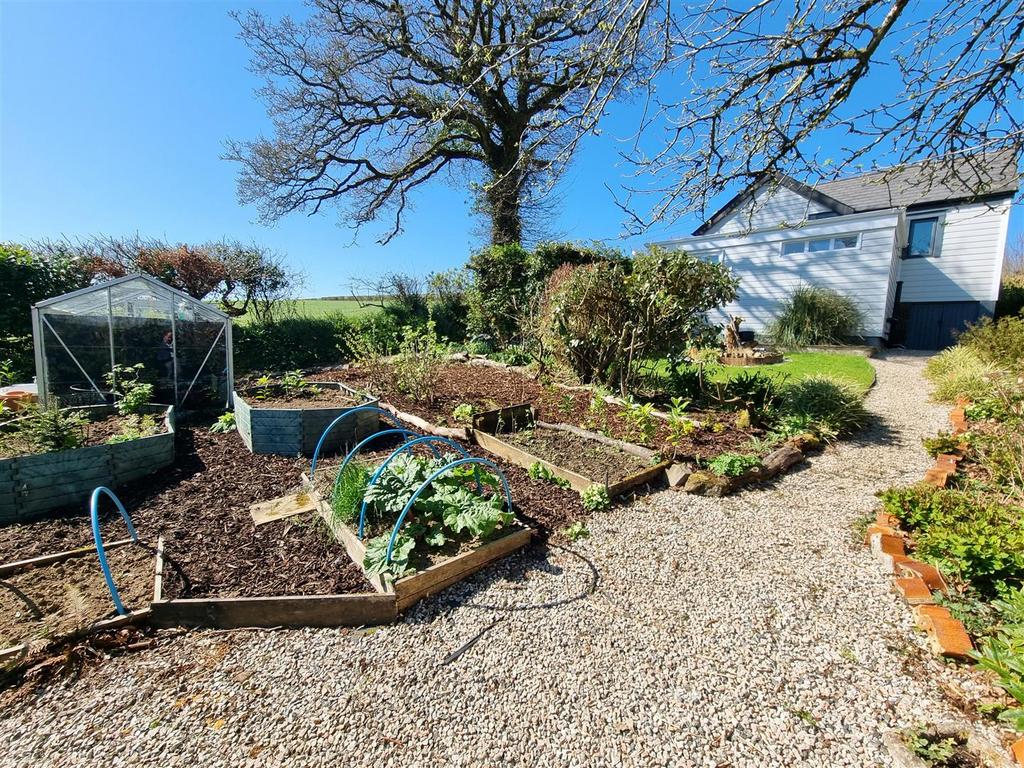 Veg garden.jpg