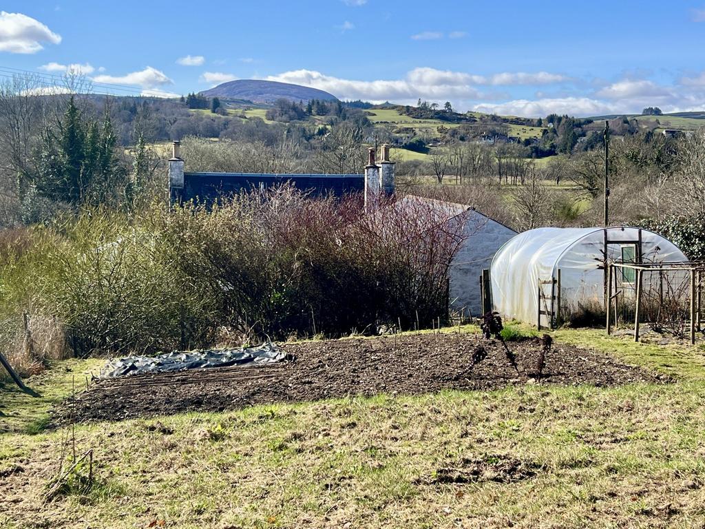 Mavis Grove, Balmaclellan, Castle Douglas - Willia