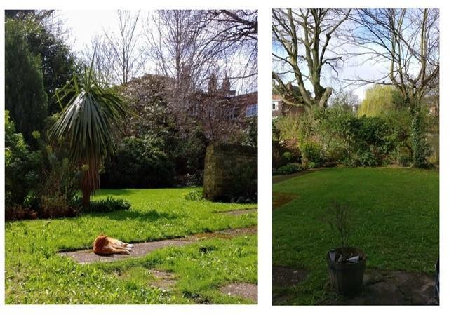 Garden.jpg