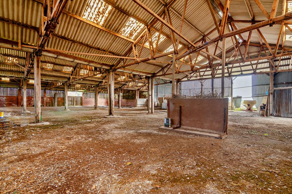 Lot 1