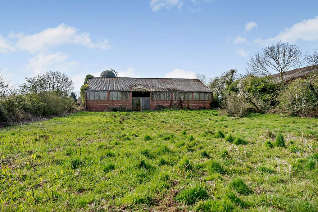 Lot 1