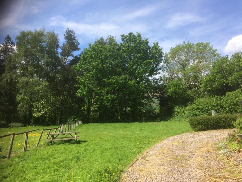 Garden.jpg