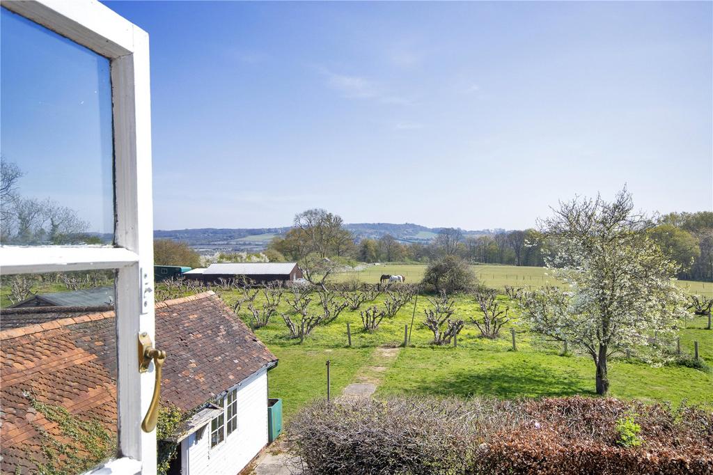 View To Orchard