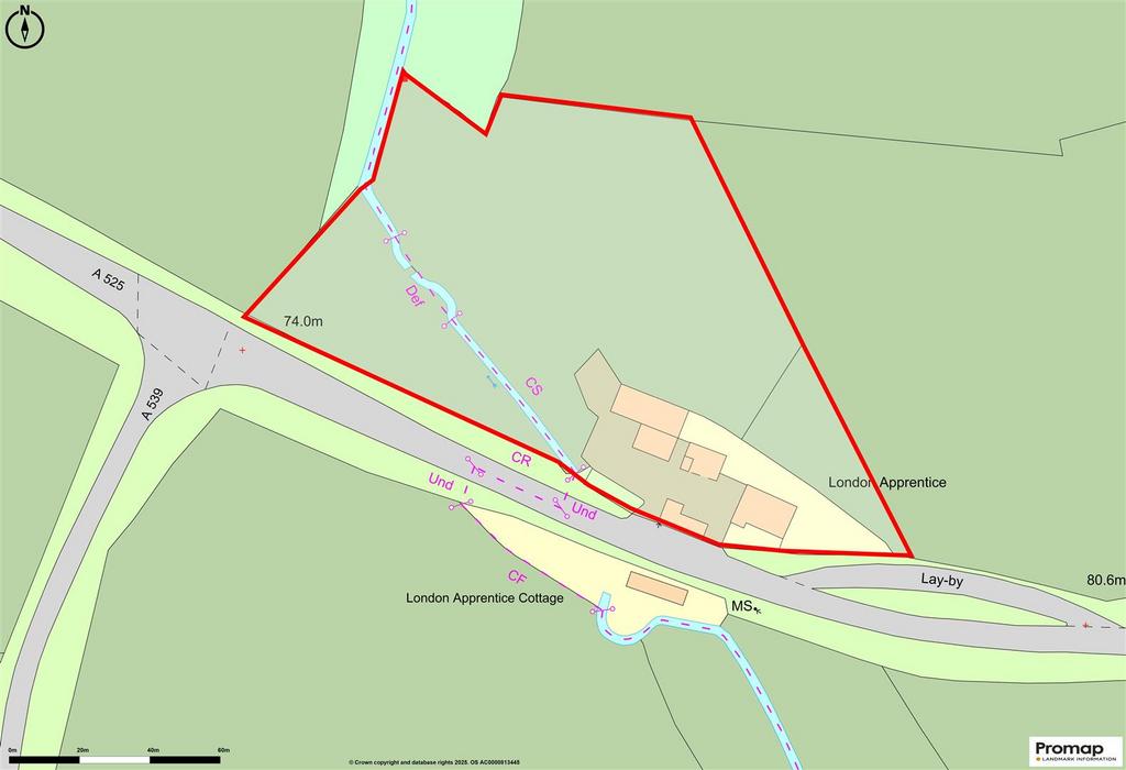 Newlandplan.jpg