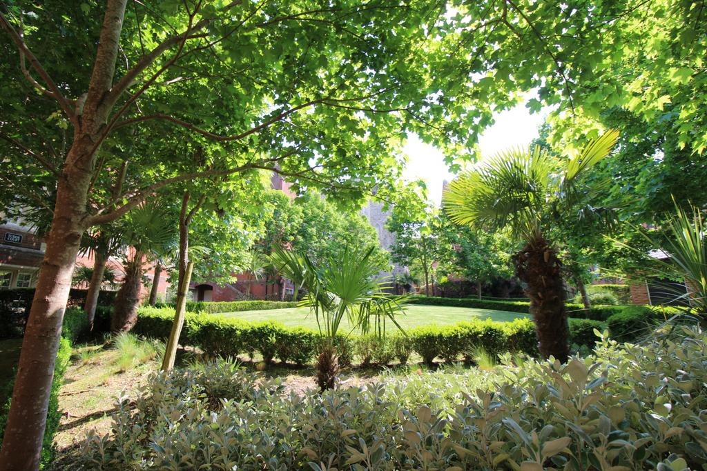 Grounds