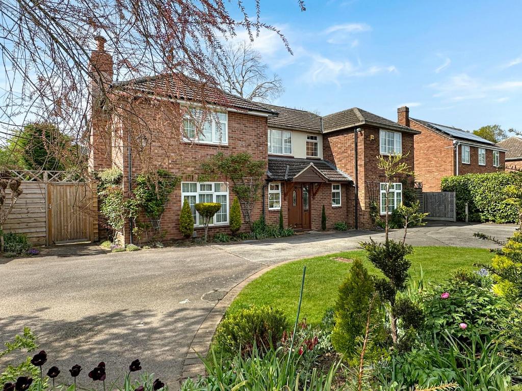 New Externals (4).jpg