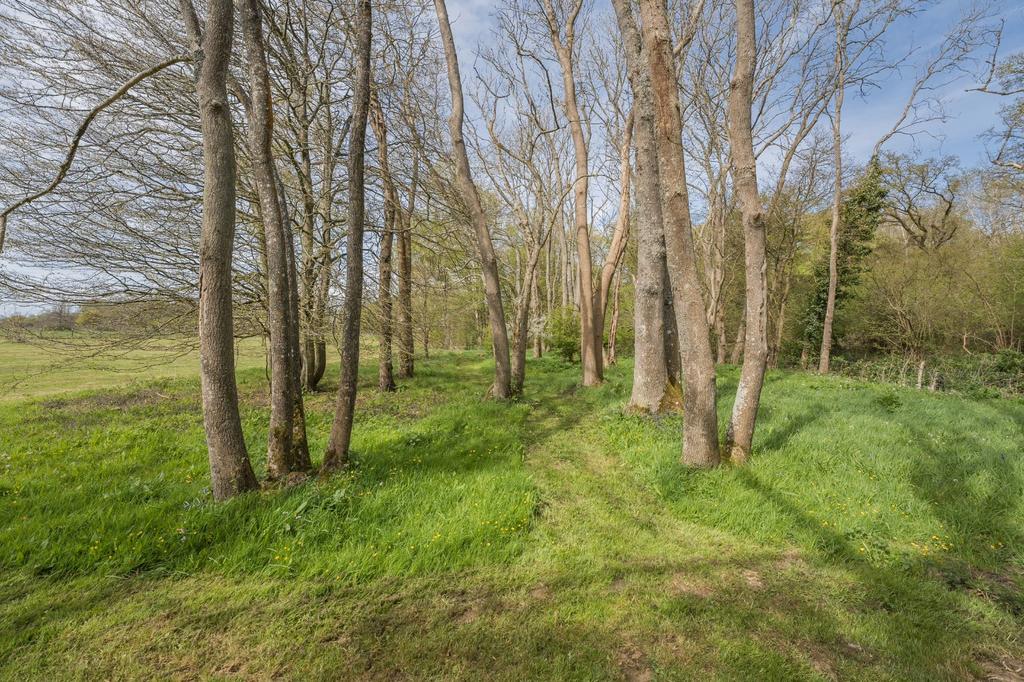 Woodland