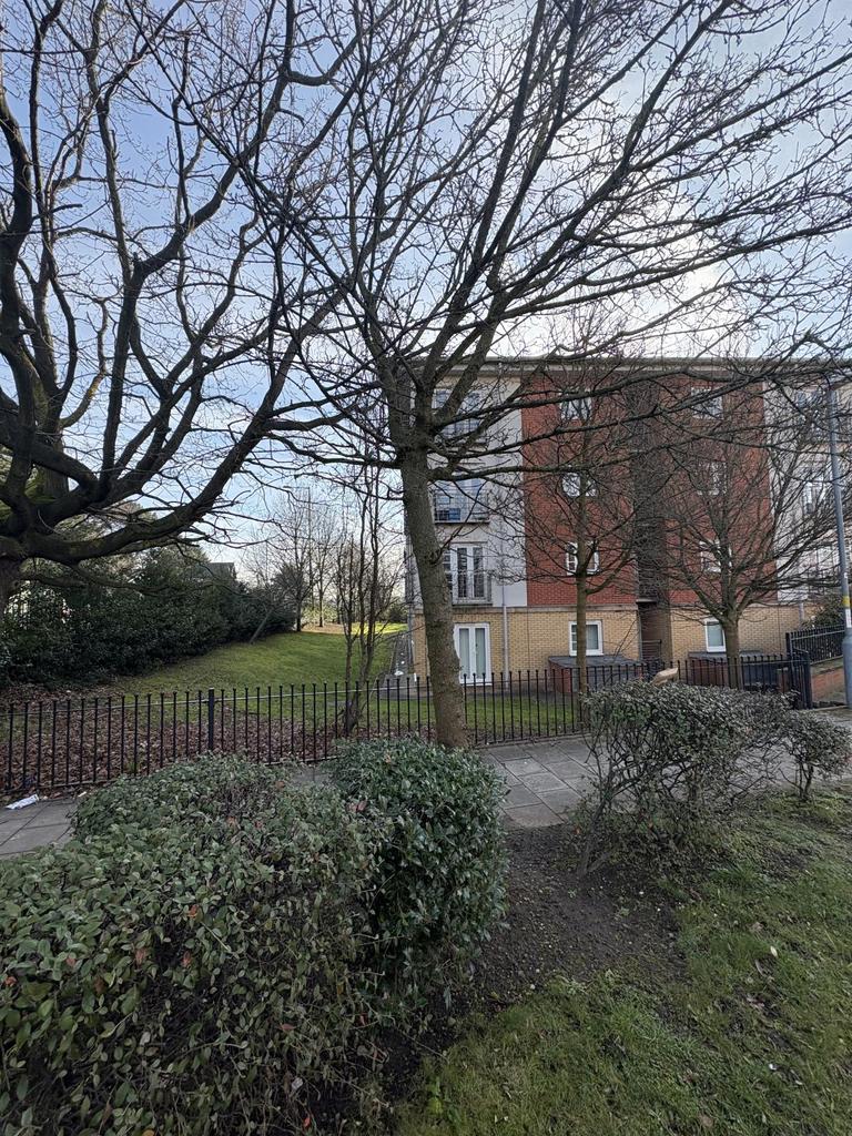Grounds