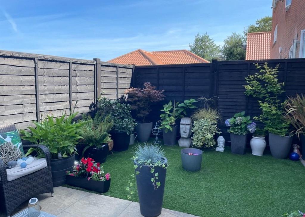 Garden.jpg