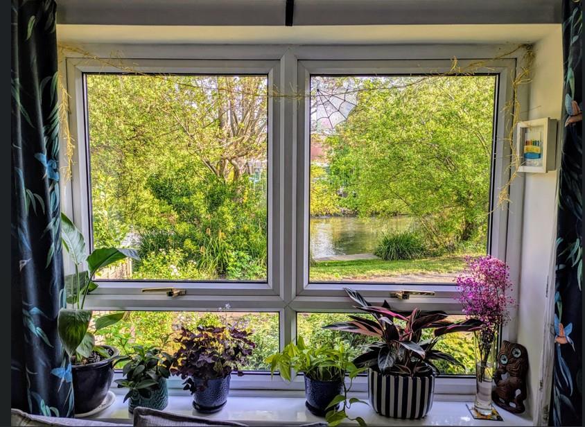 River View