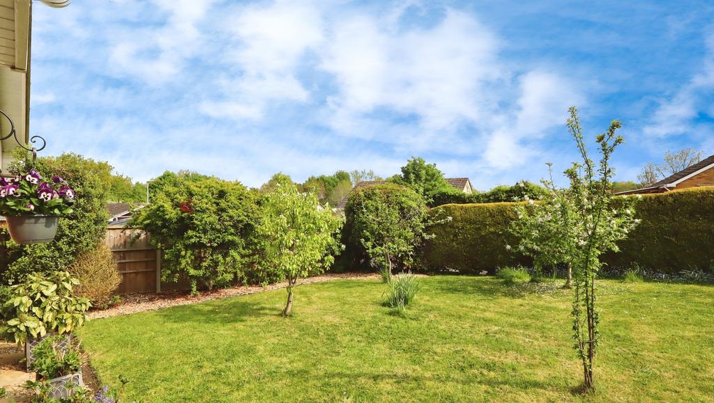 Garden view, garden