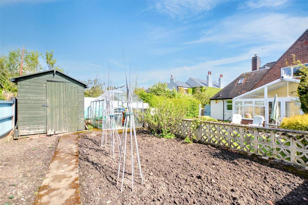 Garden 4.jpeg