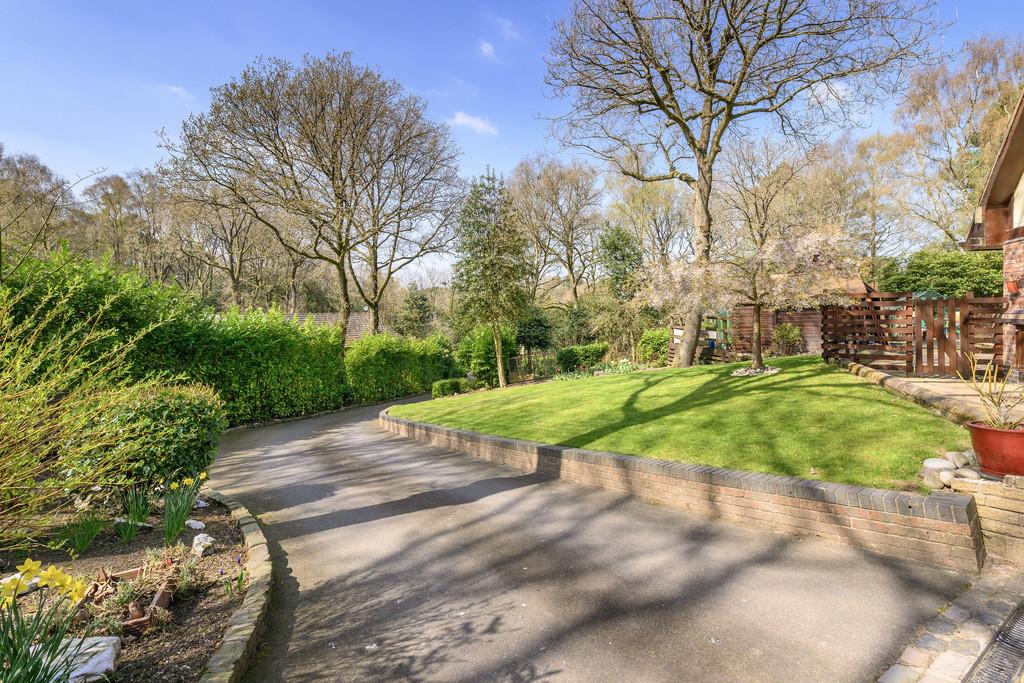 Driveway 1