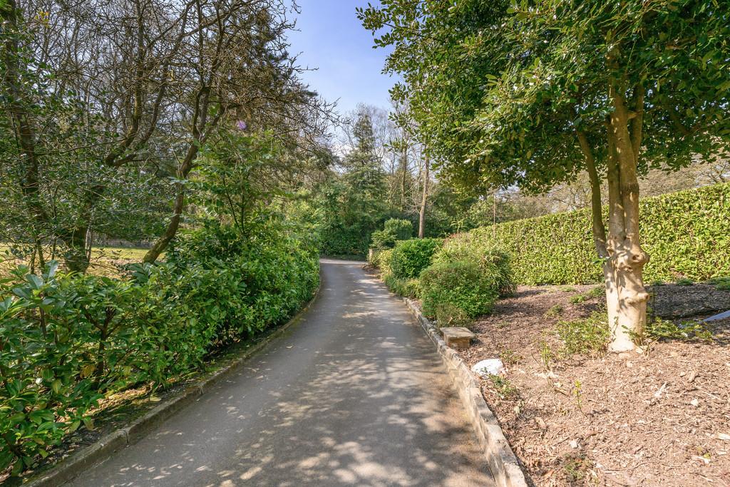 Driveway 2