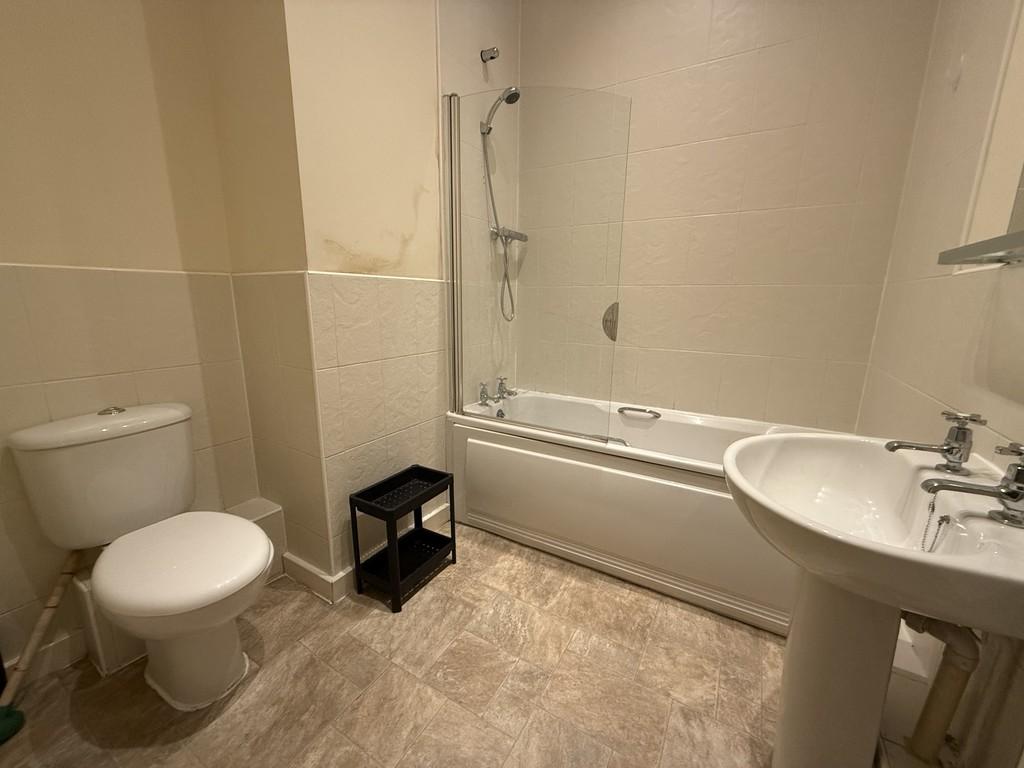 Img 7735
