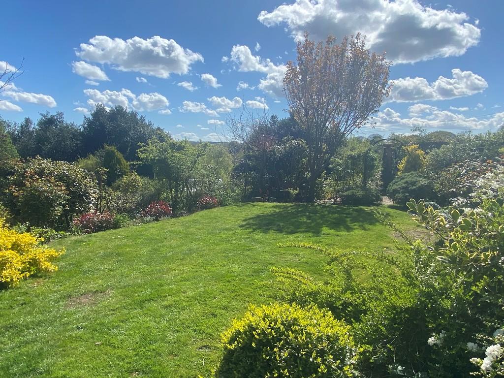 Front garden photo 2