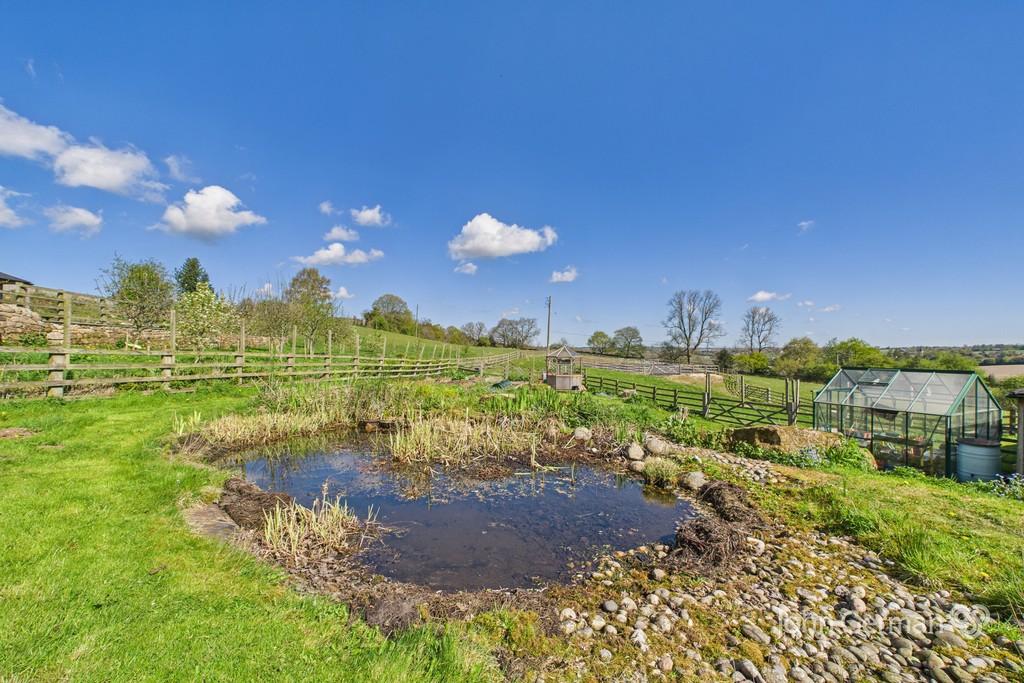 Pond