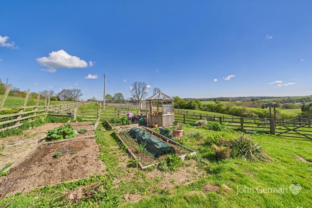 Vegetable Plot