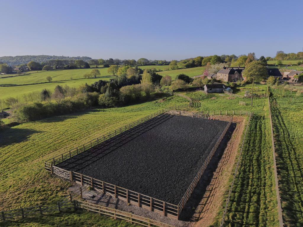 Aerial Shot of the Arena