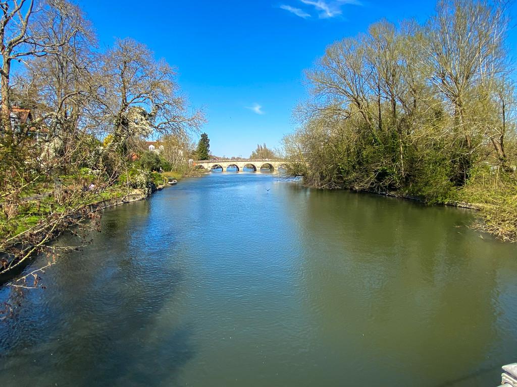 Img 0479