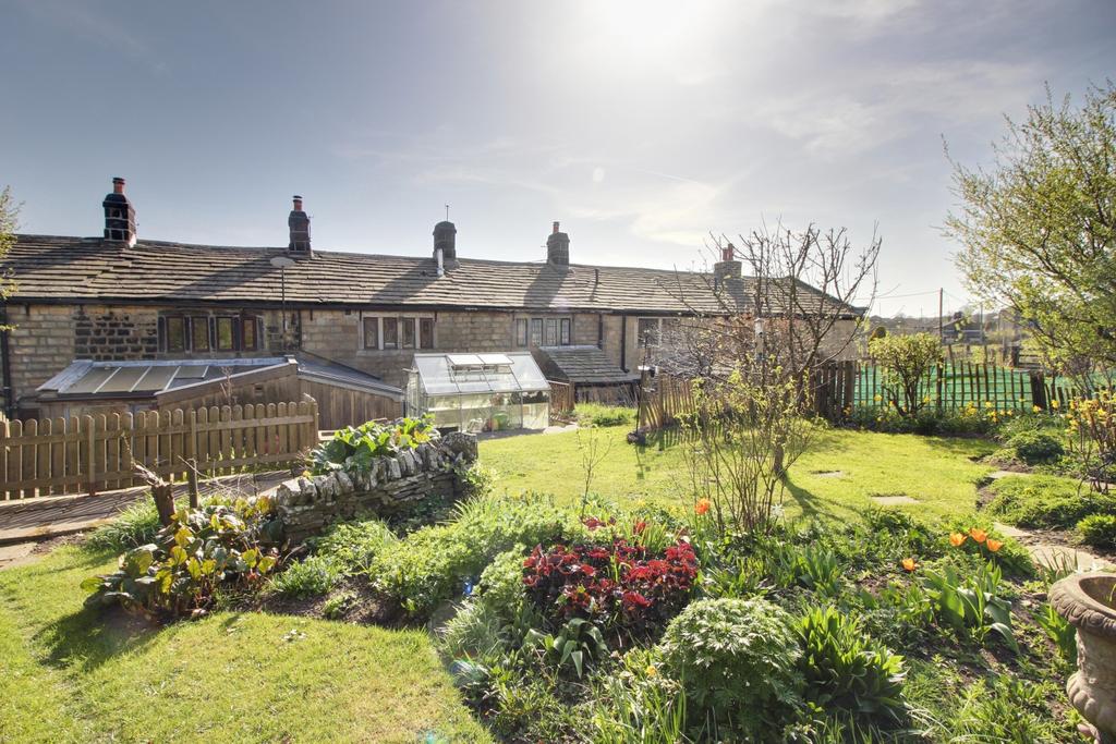 Back Garden