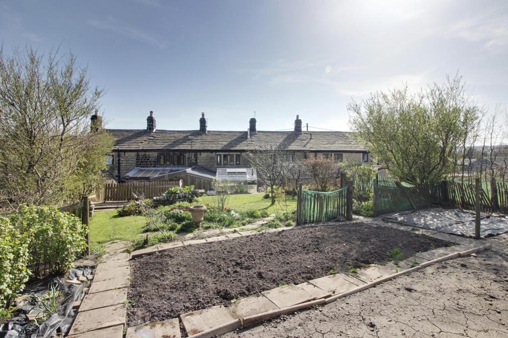 Lrg 31 Garden 3