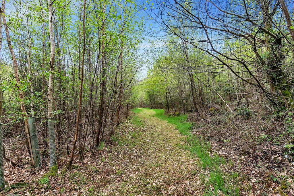Middlemoor.37.jpg