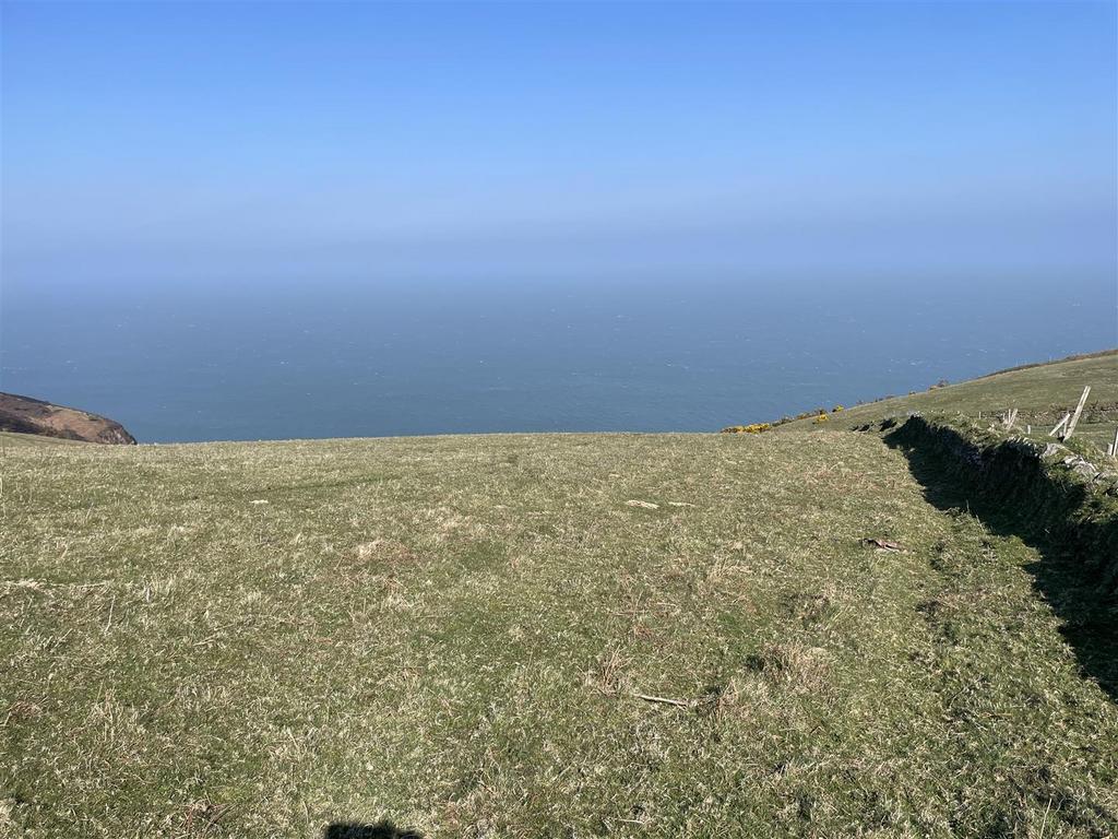 Img 8087.jpg