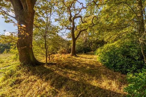 4 bedroom detached bungalow for sale, Honey Hill, Wokingham, RG40