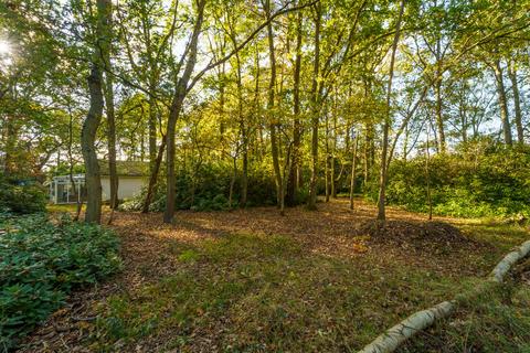 4 bedroom detached bungalow for sale, Honey Hill, Wokingham, RG40