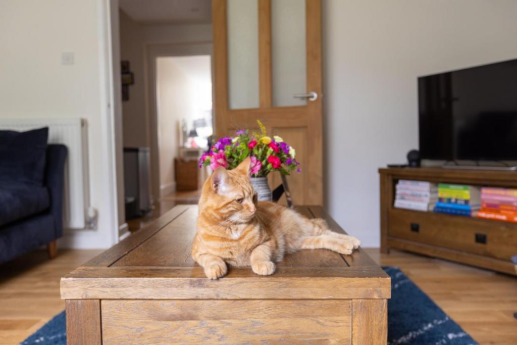 Flat 1, 17 Sydenham Hill, BS6-15.jpg