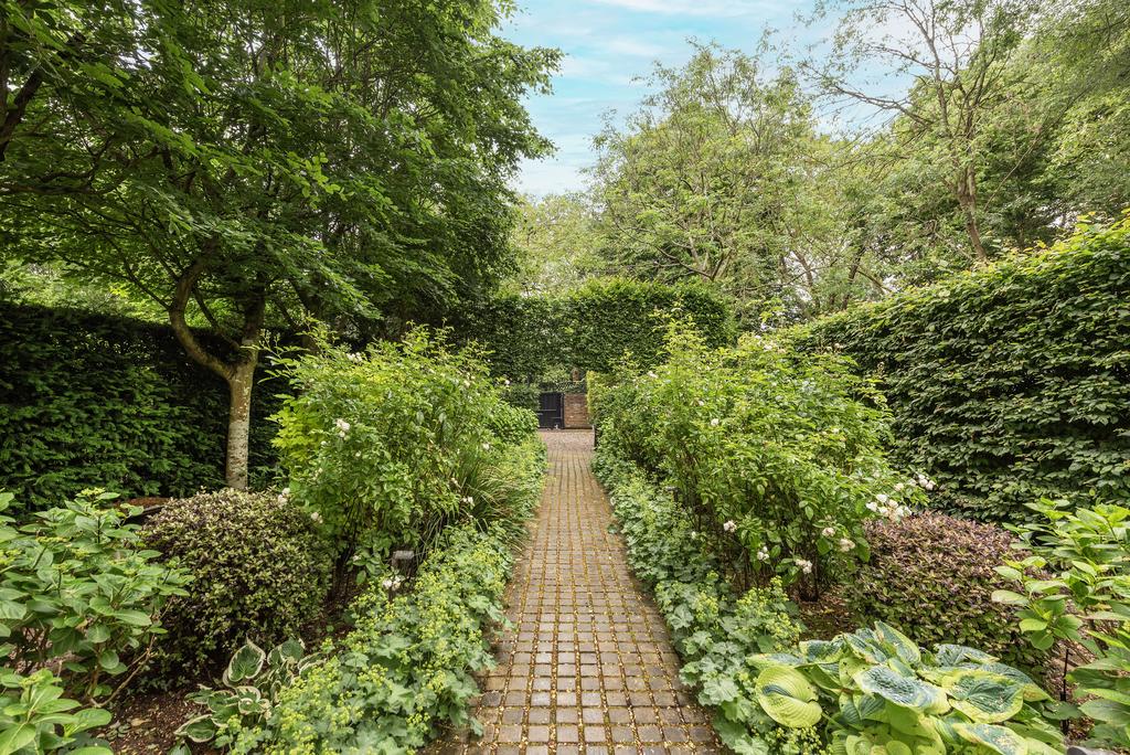 Garden view, garden