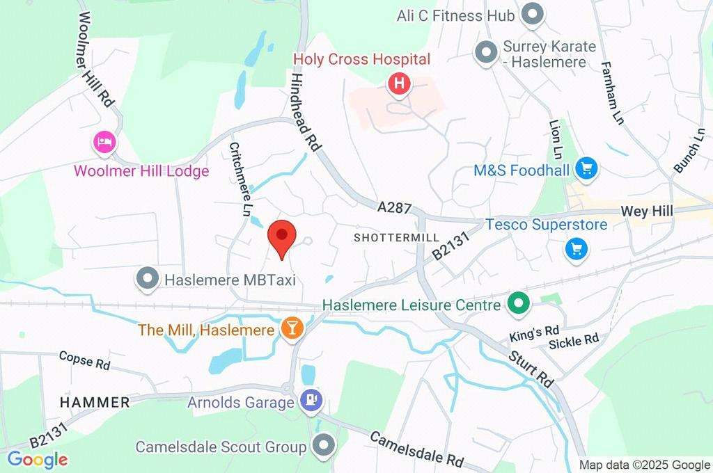 Google Maps Image