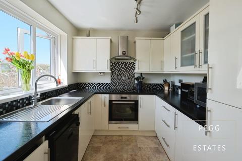 10 Burn River Rise, Torquay, TQ2 7RH