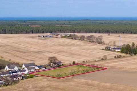 undefined, Plots at Fir Park, Dyke
